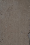 10127Field Survey 1 016.JPG