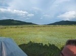 38168P1080093.JPG