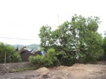 14248IMG_4588.JPG