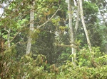 51058CIMG4582.JPG