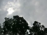 46313CIMG0602.JPG