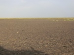 36676CIMG0445.JPG