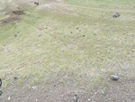 22880P1020135.JPG
