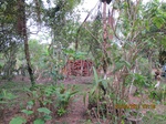 31830IMG_5310.JPG