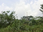 49516CIMG5853.JPG