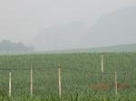 33151CIMG2388.JPG