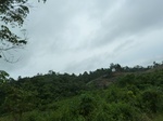 54873Berau (16).JPG