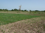 18935P1000779.JPG