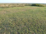 39190CHEY20110816N.JPG