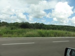 24798DSC00965.JPG