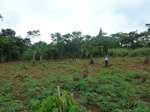 20202P1020056.JPG