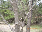 9477DSCN0924.JPG