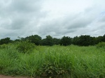 20943P1020810.JPG