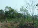 51575P1000754.JPG