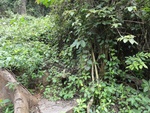 46815DSC02153.JPG