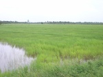 33474RIMG0214.JPG