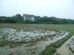 51658CIMG0460.JPG