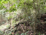 50203DSC02002.JPG