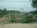21753DSC08321.JPG