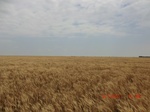 29404CIMG0639.JPG