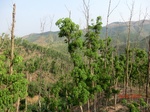 53486CIMG6823.JPG