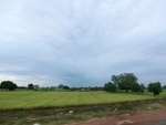 56090CIMG6779.JPG