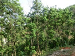 53765CIMG7165.JPG