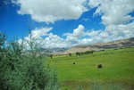 27561DSC_9150.JPG