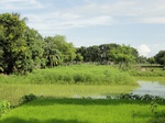 22159DSC00403.JPG