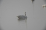 4168IMG_8806.JPG