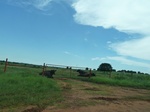 21511P1010335.JPG