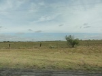 35877DSC02645.JPG