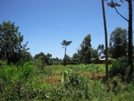 32133IMG_0551.JPG