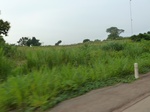 19866P1010716.JPG
