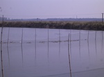 2405 014.jpg