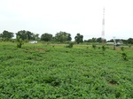 18728P1000566.JPG