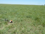 54034NEWK20120521GPS.JPG