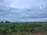 55972CIMG6651.JPG