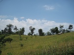 15848IMG_4389.JPG