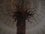 16489IMG_5275.JPG