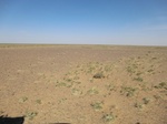 36713CIMG0482.JPG