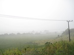 14137IMG_4472.JPG