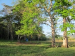 31934IMG_5663.JPG