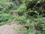 46814DSC02152.JPG