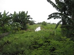14322IMG_4663.JPG