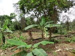 45493CIMG2578.JPG