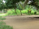 46874CIMG3211.JPG