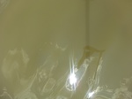 58578CIMG3028.JPG