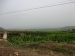 45847CIMG2932.JPG