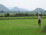 131820327b-irrigated-canal-rice-singlecrop.gif